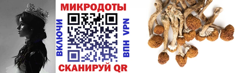 Галлюциногенные грибы Psilocybine cubensis Семёнов
